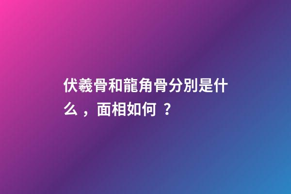 伏羲骨和龍角骨分別是什么，面相如何？